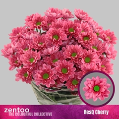 Chr T Resq Cherry 70cm 75gram