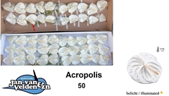 Anth A Acropolis 45cm 9cm Ø