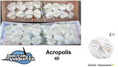Anth A Acropolis 55cm 11cm Ø