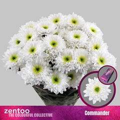 Chr T Commander 70cm 85gram