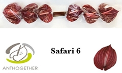 Anth A Safari 13cm Ø