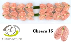 Anth A Cheers 11cm Ø