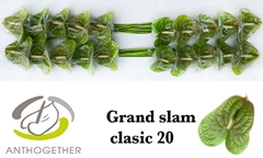Anth A Grand Slam 9cm Ø