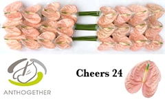 Anth A Cheers 11cm Ø
