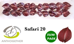 Anth A Safari 9cm Ø