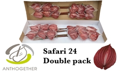 Anth A Safari 13cm Ø