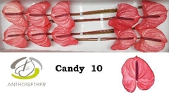 Anth A Candy-oost- 15cm Ø