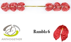 Anth A Rambla 13cm Ø