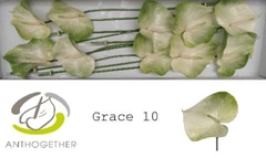 Anth A Grace 15cm Ø