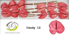 Anth A Candy-oost- 13cm Ø