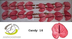 Anth A Candy-oost- 11cm Ø
