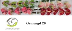 Anth A Lovecollectie 40cm 9cm Ø