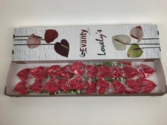 Anth A Pink Lady 40cm 9cm Ø