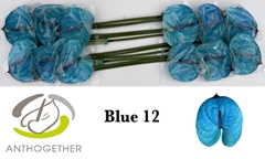 Anth A Colortreated 13cm Ø