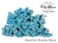 Chr S Dusty Blue