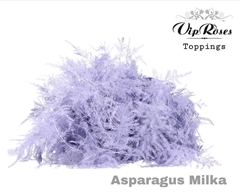 Asp Ov Getopt Lang Milka