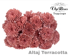 Chr T Altaj Terracotta