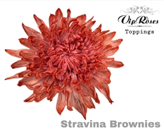 Chr G Stravina Brownies