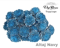 Chr T Altaj Navy
