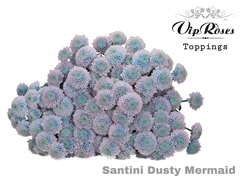 Chr S Dusty Mermaid