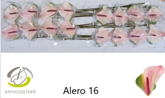 Anth Alero 11cm Ø