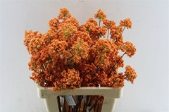 Diversen H% 60cm