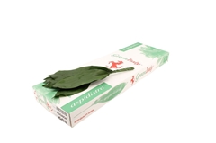 Aspidistra E Per Bunch 40cm