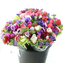 Anem Co Marianne Gem 30cm