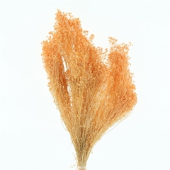 Droogbl Bewerkt H% 55cm 95gram