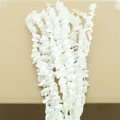 Droogbl Bewerkt H% 50cm