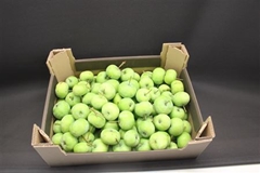 F Appel Groen 5kg