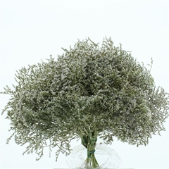 Dried Flowers 100 Gram 45cm 980gram