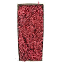 Schinus M Dec Bes Bs 30cm 200gram