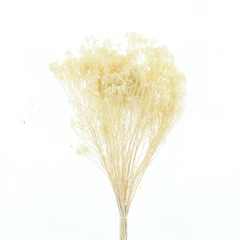 Droogbl Bewerkt H% 55cm 95gram