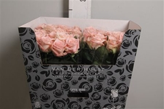 R Gr Big Baby 70cm