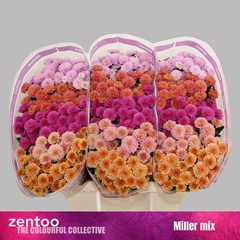 Chr San Mixed 55cm 110g