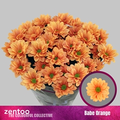 Chr T Babe Orange 70cm 70gram