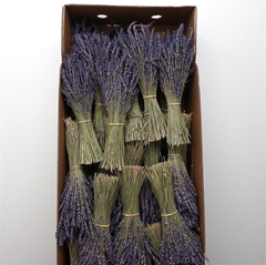 Dried Flowers 100 Gram 45cm 100gram