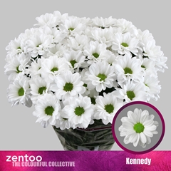 Chr T Kennedy 70cm 80gram
