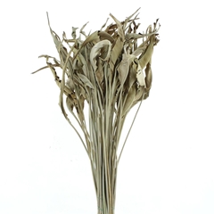 Dried Flowers 100 Gram 100cm