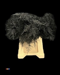 Asp Colortreated 45cm