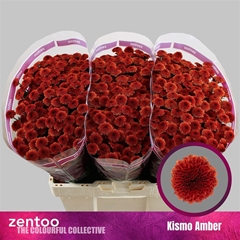 Chr S Kismo Amber