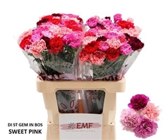 Di St Gem In Bunch 60cm 23