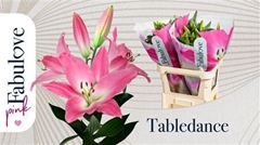 Li Ot Tabledance 95cm 55+