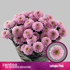 Chr T Letsgo Pink 65cm 75gram