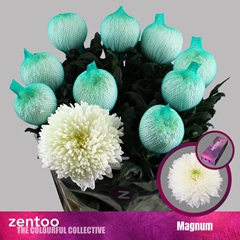 Chr G Magnum 70cm 105gram