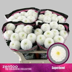 Chr G Superbowl 70cm 80gram