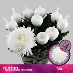 Chr G Tutu 70cm 105gram