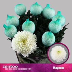 Chr G Magnum 70cm 100gram