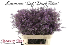 Lim Saf Dark Blue